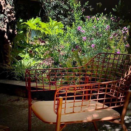 Loquat House Nel Giardino Segreto In Zona Vaticano Rom Exteriör bild
