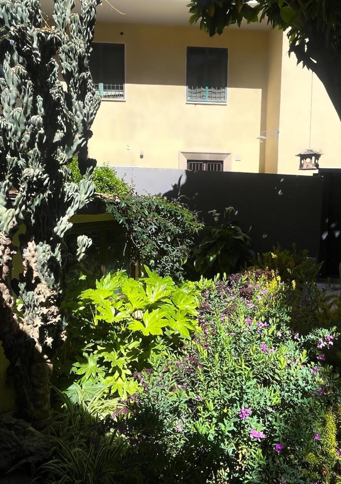 Loquat House Nel Giardino Segreto In Zona Vaticano Rom Exteriör bild