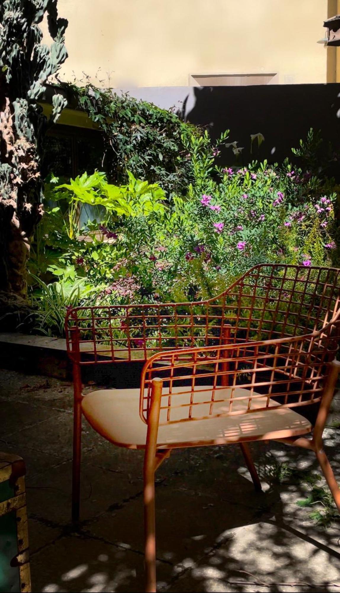 Loquat House Nel Giardino Segreto In Zona Vaticano Rom Exteriör bild